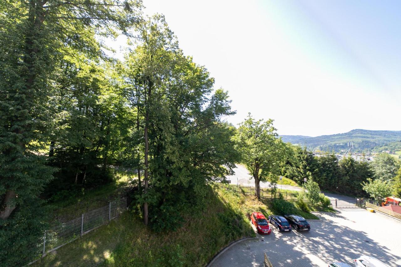 Apartamenty Kamienna Z Widokiem Na Gory I 2 Km Do Wyciagu Skolnity - Dream Apart Wisla Exterior photo