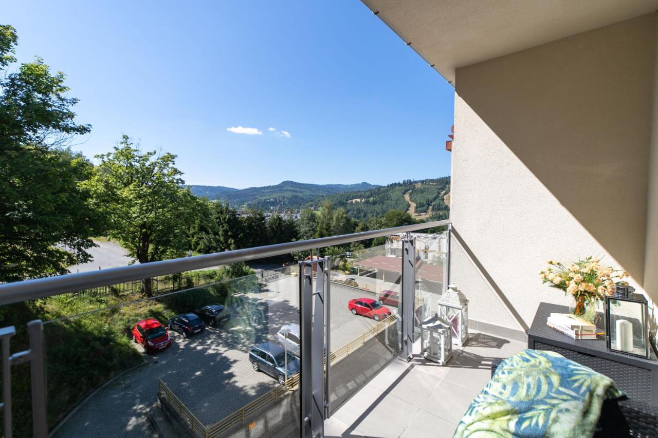 Apartamenty Kamienna Z Widokiem Na Gory I 2 Km Do Wyciagu Skolnity - Dream Apart Wisla Exterior photo