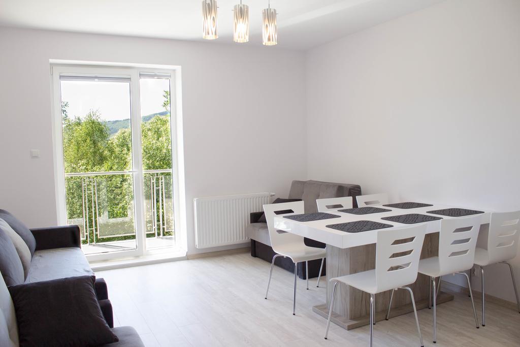 Apartamenty Kamienna Z Widokiem Na Gory I 2 Km Do Wyciagu Skolnity - Dream Apart Wisla Exterior photo
