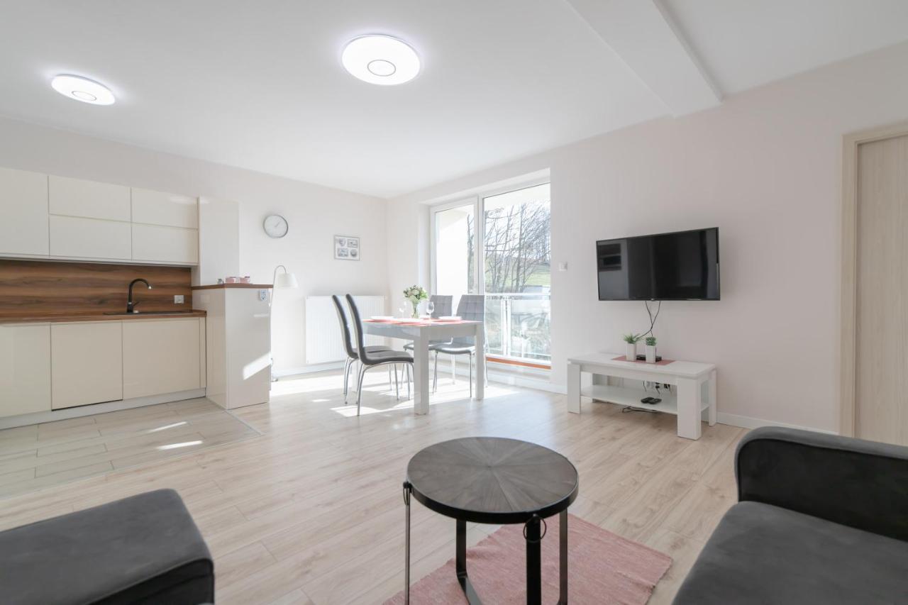 Apartamenty Kamienna Z Widokiem Na Gory I 2 Km Do Wyciagu Skolnity - Dream Apart Wisla Exterior photo